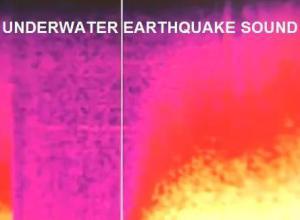 Sonido real bajo el agua del terremoto de Japón