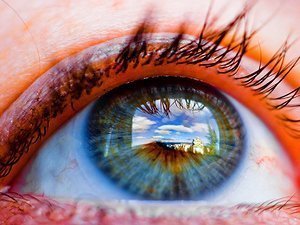 El ojo humano detecta el campo magnético terrestre