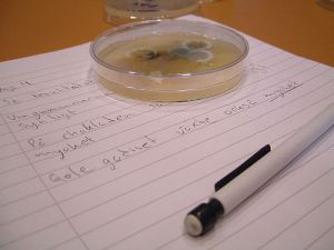 Los microbios del intestino podrían controlar tu estado de ánimo 1 Los microbios del intestino podrían controlar tu estado de ánimo