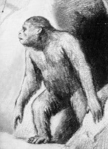 ¿Es esta la prueba, finalmente, de la existencia del Yeti?