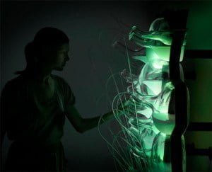 ¿El futuro de la iluminación del hogar? Bacteria brillante produce 'luz biológica' como las luciérnagas