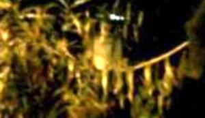 Avistamientos de fantasmas desata escenas de histeria en Yakarta Indonesie