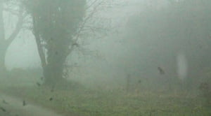 Fotografías de un fantasma capturado en The Mount (El Monte), en Guildford, Reino Unido