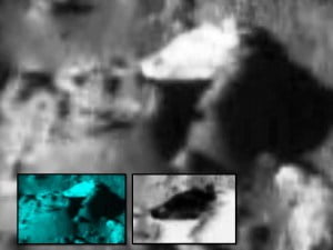spaceship Tycho Crater Face of Easter Island Statue on the Moon?