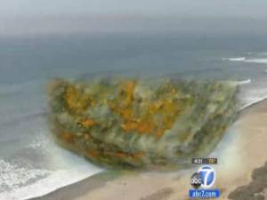rock beach burn - Mystery: Rocks From Beach Catch Fire in Womans Pocket San Clemente, CA May 16, 2012