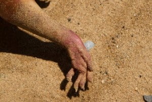 Monstruo de Montauk