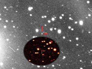 Cometa ISON C/2012 S1 Cometa ISON C/2012 S1