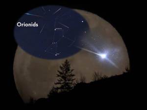 Picos en la lluvia de meteoros del cometa Halley el 21 de octubre 2012