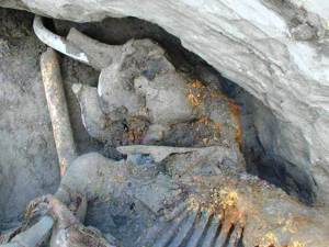 Mamut 30000 años Rusia