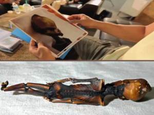 Entidades biológicas humanoides alienígenas - Proyecto de divulgación del Dr. Greer