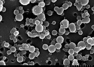 ¿Microbios antiguos encontrados en un lago enterrado en la Antártida clave de la vida extraterrestre?