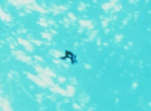 OVNI anomalía en el espacio