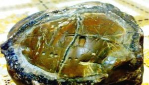 ¿Se ha encontrado un mapa estelar alienígena en Kupang, Indonesia?