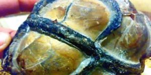 ¿Se ha encontrado un mapa estelar alienígena en Kupang, Indonesia?