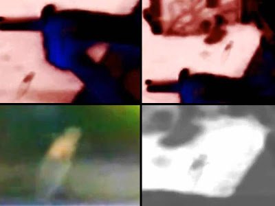 Increíble: criatura alienígena se desliza pasando por la Estación Espacial Internacional, 2013 1 Increíble: criatura alienígena se desliza pasando por la Estación Espacial Internacional, 2013