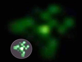 OVNI Sol - dogones OVNI Sol - dogones