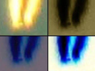 fireball meteor meteorite comet asteroid geminid shower texas