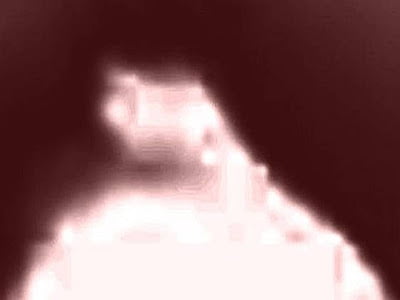 ¿Ángel brillando o extraterrestre grabado en una cámara de ciervos en N. Georgia? - 2013