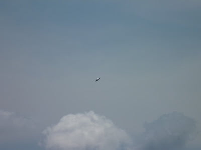Avistamiento OVNI durante un desfile el 4 de julio en Kaysville, UT, EE.UU.