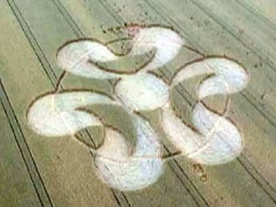 Círculos de la cosecha 2013 - Imling cerca de Sarrebourg, Francia y Rheinau cerca de Zurich, Suiza - Julio 2013