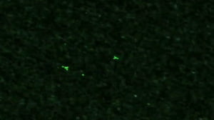 OVNIs por la noche sobre Wittenberge, Alemania, 18 de septiembre 2013