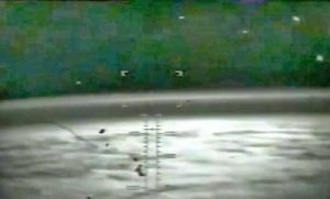 Vídeo de la NASA - OVNIs alrededor de la Tierra