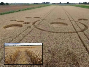 OVNIs observados sobre campos de cultivo holandeses y canadienses