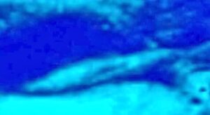 La enorme nave espacial descubierta en la Luna sigue siendo un misterio 1 Nave espacial descubierta en la Luna sigue siendo un misterio